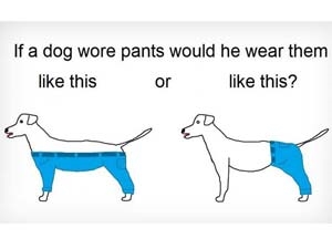 cddbe037-89f4-4c46-bc50-896335da8ead_S_secvpf