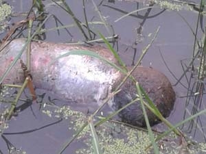 d2f6414e-63f8-4118-b1c5-e7de42807d57_S_secvpf