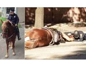 e832ab49-0df6-406a-a83b-5957b41dd206_S_secvpf