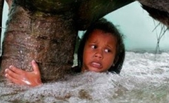 tsunami_day_004.w245