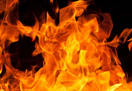 1010865579Untitled-2