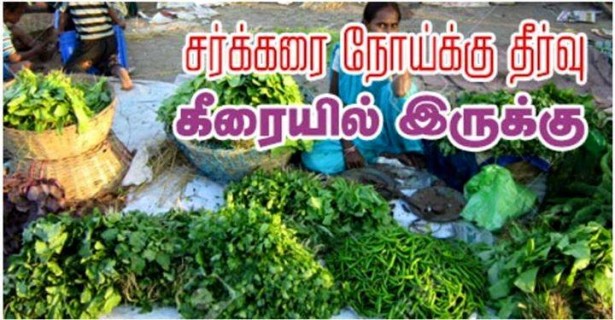 12189125_882702971808192_816342214789396143_n-615x320