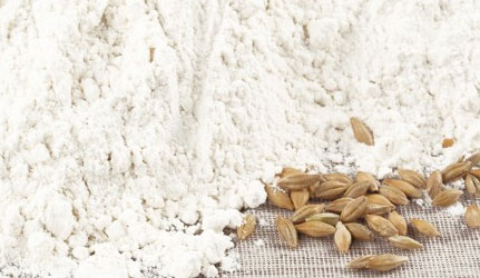 1872694624Untitled-1