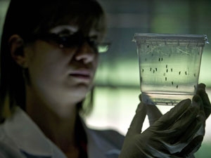 45b807b5-c029-4e05-9372-b225d6126ebc_S_secvpf