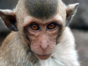 51f993b2-d812-4556-8520-45c6c8dab79a_S_secvpf