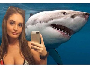 63852bb2-4e70-43b7-acef-7738e9b1655c_S_secvpf