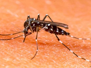 70c0a27f-7119-487c-ba92-b11bd7cf3dcd_S_secvpf