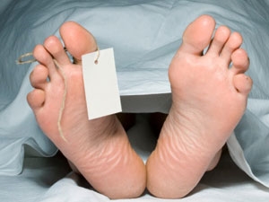 71342d75-b9dd-4483-8048-8f3083acaa50_S_secvpf