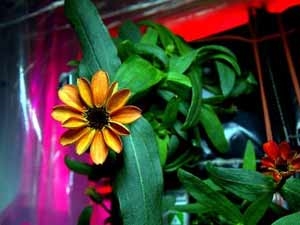 7179c17d-6ebb-4a73-8066-8a8f95a84a14_S_secvpf