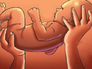 b5de0935-9e5b-4285-9552-9ce191f5ff5d_S_secvpf