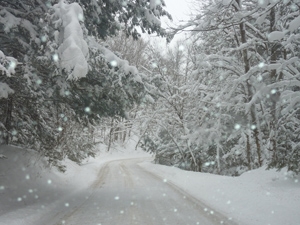 d6fab1bb-649d-4971-a9fa-b26dd7a96457_S_secvpf