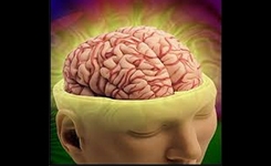 memory_power_001.w245