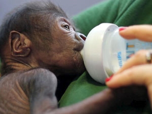 6733faaf-b2f9-4991-af3b-eb261620f3c4_S_secvpf