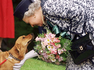 8b5a5e06-d6af-45b8-b42f-10db2ecfa809_S_secvpf