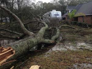 95345518-ea4e-40d2-924b-0e5c4d722a50_S_secvpf