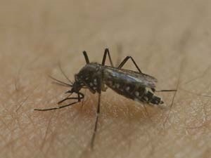 fc112219-d011-4720-bf3d-29deb4ee858c_S_secvpf