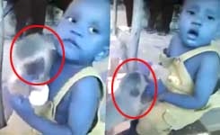 monkey_boys_001.w245