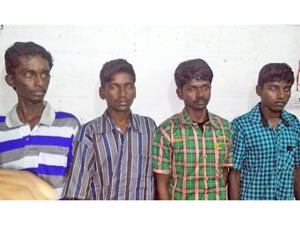 3f53de3e-4c52-4ee0-a81a-01c72d772487_S_secvpf