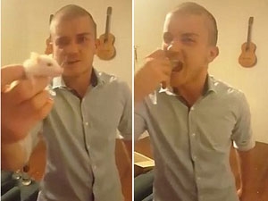 7f33facf-f685-4969-9487-cb508afa5741_S_secvpf