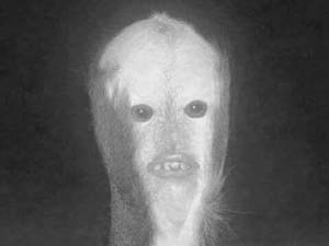 8cd4f277-24cd-4d1a-8439-40aabb660f44_S_secvpf