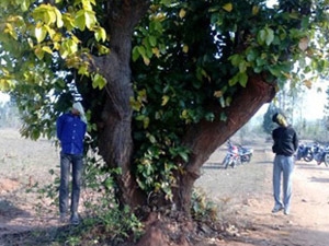 93a034b1-8f1d-4e48-9c92-d4fb1af07b1f_S_secvpf