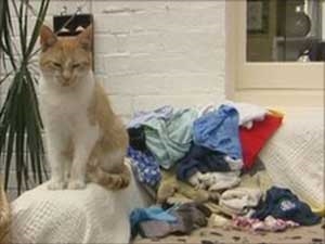 a2d0fe59-0833-4b67-8760-61cb6297e453_S_secvpf