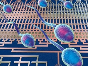 e42cd18c-3784-4f5e-92fe-c5f0208c0972_S_secvpf