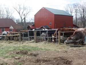 f0040b10-a39a-4576-9c2d-086eee93dfd8_S_secvpf