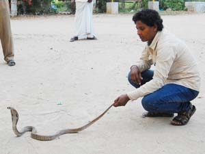 fb04c787-f014-4ab4-bf74-1f1d6fea6d52_S_secvpf