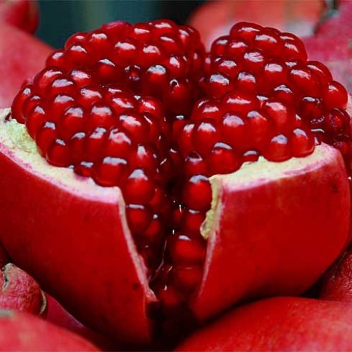 pomegranate_fruit-500x500