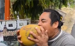 teeth_cocunut_001.w245