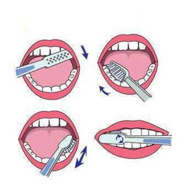 13015602_516737781845561_1274214324904690516_n-615x606