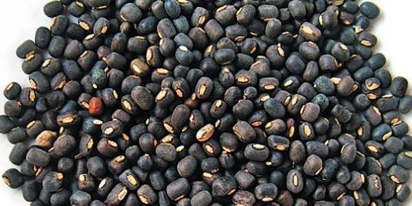 13082660_516881748497831_7152773437682944322_n