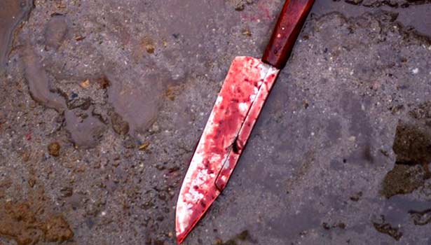 201604111331475610_Two-Indian-med-students-stabbed-to-death-in-Ukraine_SECVPF