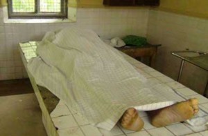 37584505Body-300x197