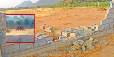 400x400_IMAGE50107805