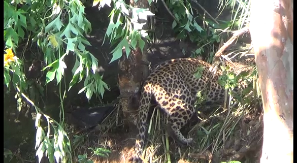 4e4d8eaa-ef56-40fc-93de-cd9e7531062c