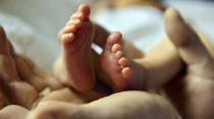 625.117.560.350.160.300.053.800.210.160.70 (1)