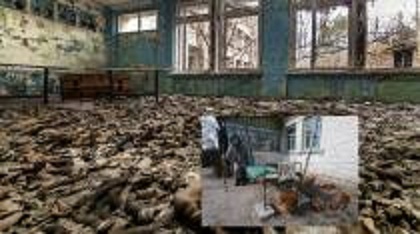 625.117.560.350.160.300.053.800.210.160.70 (1)