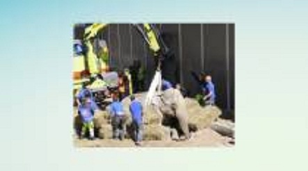 625.117.560.350.160.300.053.800.210.160.70