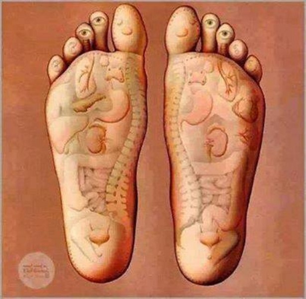 944848_516104665242206_3300494680509224780_n-615x600