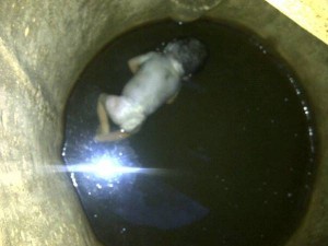 baby-in-well1-300x225