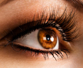 chroniceyediseaseschat