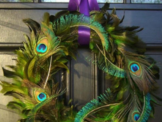 peacock_feature_002.w540