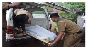 sadalamm-680x365-300x161