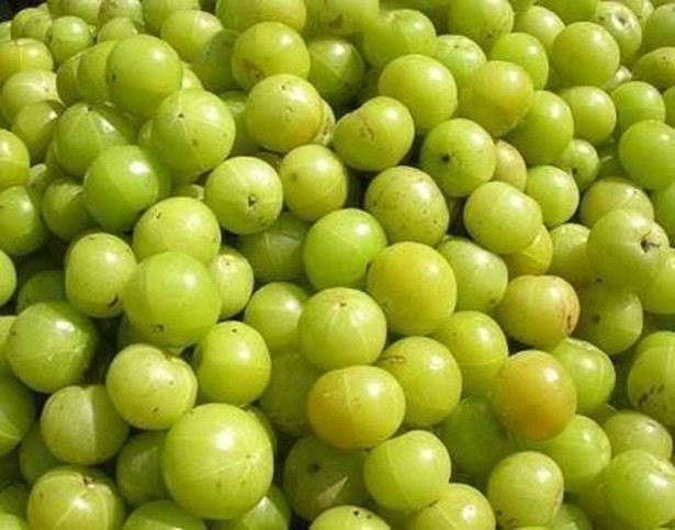 13124685_521377968048209_3032121762641800634_n-615x483