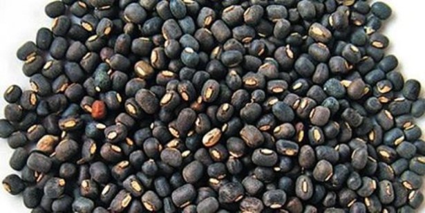 13240052_526846730834666_8757180542986726383_n-615x308