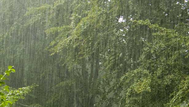 201605091551393637_Cyclone-with-rain-in-Pudukkottai-and-Trichy_SECVPF