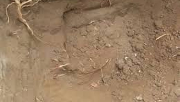 201605111340208584_Killed-poisonous-injection-2-dead-Forensic-analysis-of-bones_SECVPF