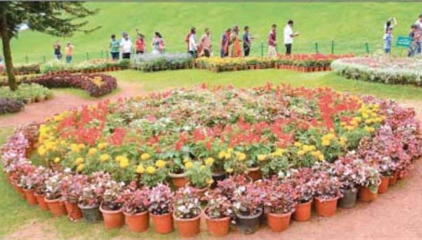 201605270706106048_ooty-120th-Flower-Show-starts-today_SECVPF